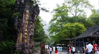 ���ҽ����ɭ�ֹ��@